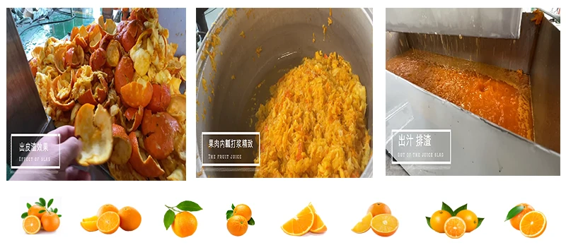 orange juice orange juice