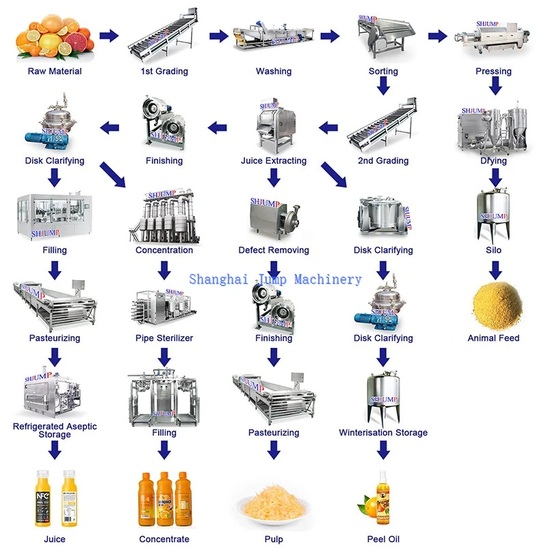 orange processing line orange processing line